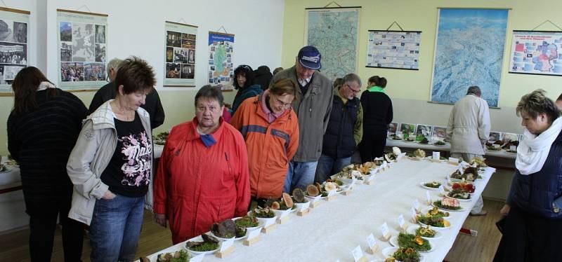 Gymnázium v Tachově opět přivítalo výstavu hub. 