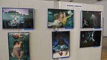 PAF,  v Tachově se konal festival podvodní fotografie a filmu.