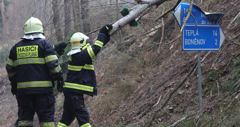 Dobrovolní hasiči odstraňují větrem skácený strom ze silnice u Michalových Hor.
