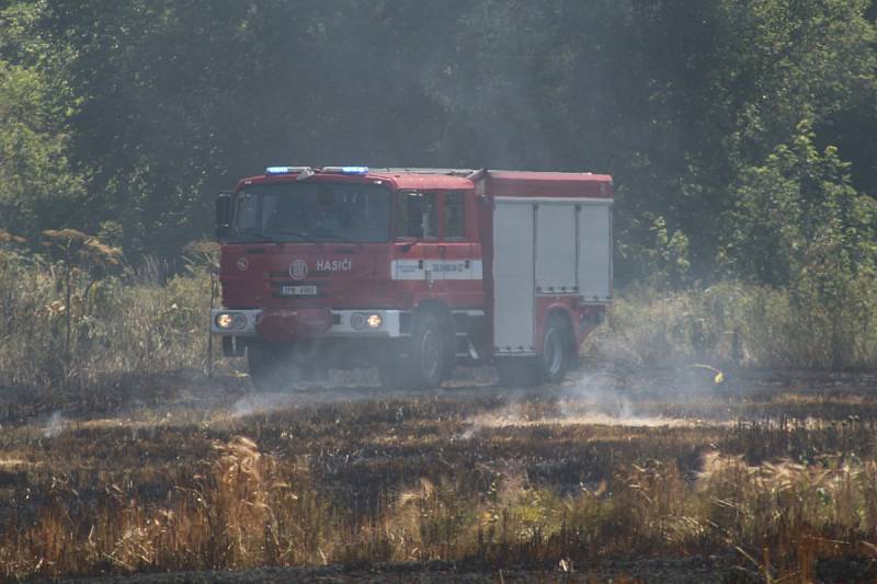 Požár obilného lánu u Chodové Plané.