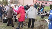 Tachovští turisté zasadili v Hornické ulici strom k výročí KČT Tachov.