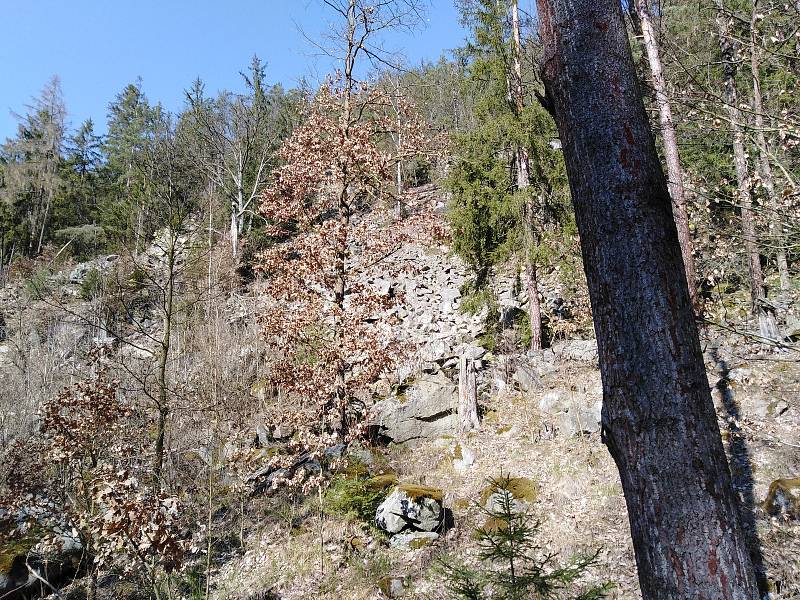 Krajina kolem soutoku Mže a Hamerského potoka