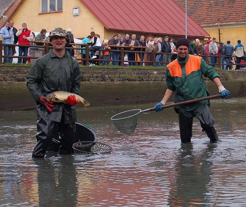 Výlov Kohouťáku v Chodové Plané