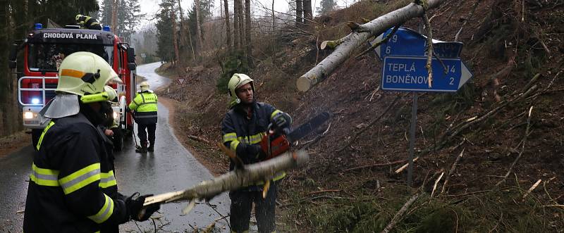 Dobrovolní hasiči odstraňují větrem skácený strom ze silnice u Michalových Hor.