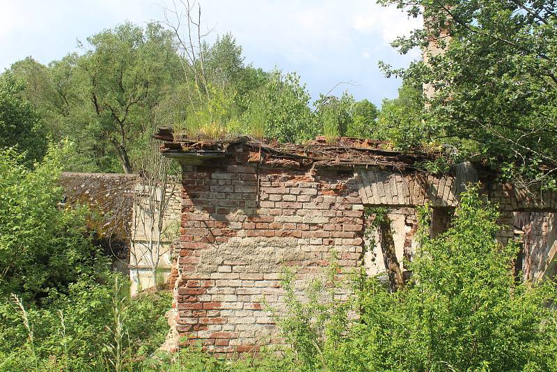 Červený mlýn u Plané. Devastace postoupila tak daleko, že areál už asi nic nezachrání.