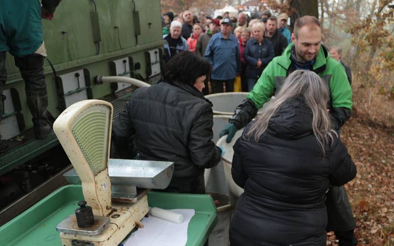 Výlov Regentu u Chodové Plané na Tachovsku