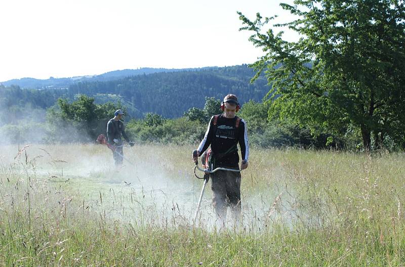 Z luk nad Michalovými Horami