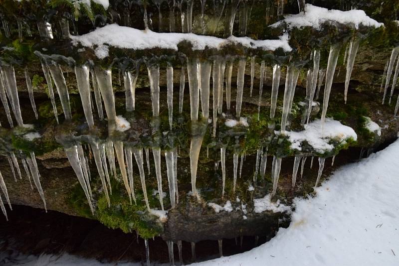 Rampouchy a nádherná příroda. Takové je okolí bývalého hradu Šelmberk.