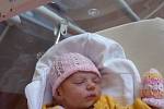 Nela (3,11 kg, 51 cm) se narodila 8. května v 7:15 v plzeňské fakultní nemocnici. Z příchodu na svět své prvorozené holčičky se radují rodiče Martina a Zdeněk Uhlíkovi z Vesné u Tachova.