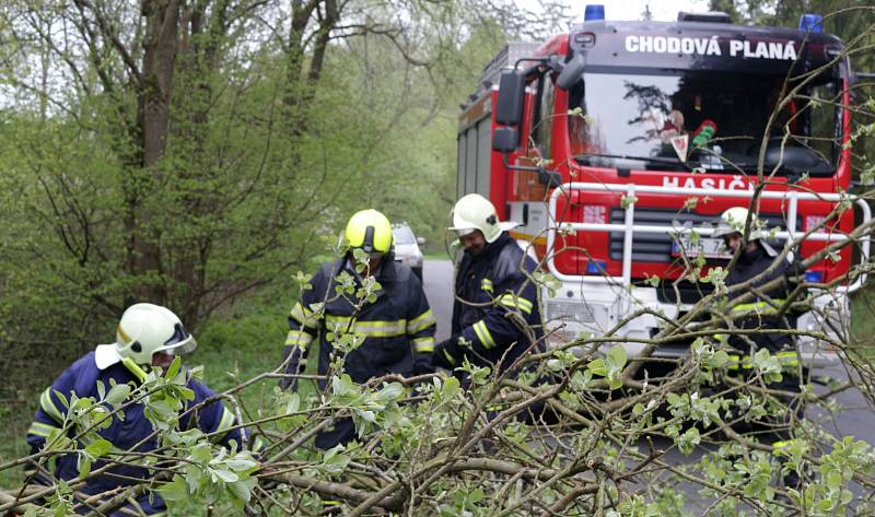 Chodovoplánští dobrovolní hasiči v pondělí odstraňovali spadlý strom ze silnice.