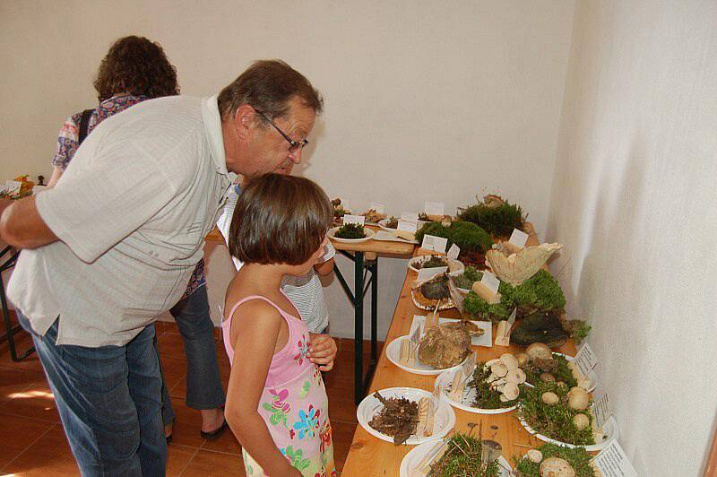 Výstava hub v tachovském muzeu