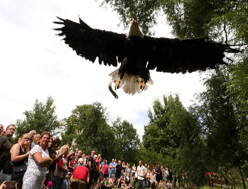 Letní barokní festival ve Svojšíně: květiny, dravci i pohádka.