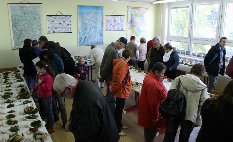 Gymnázium v Tachově opět přivítalo výstavu hub. 