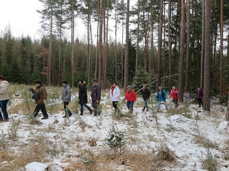 Novoroční výstup na Vlčí horu se konal v Černošíně 1. ledna odpoledne.