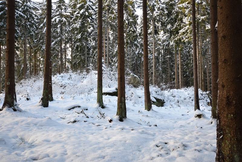 Rampouchy a nádherná příroda. Takové je okolí bývalého hradu Šelmberk.