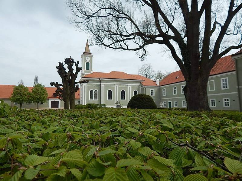 Z Kladrub do Kladrub se vypravil jezdecký klub, navštívil hřebčín