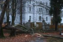 Veliké škody napáchaly poryvy silného větru v zámeckém parku v Chodové Plané.