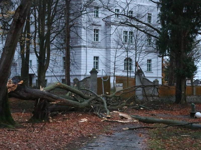 Veliké škody napáchaly poryvy silného větru v zámeckém parku v Chodové Plané.