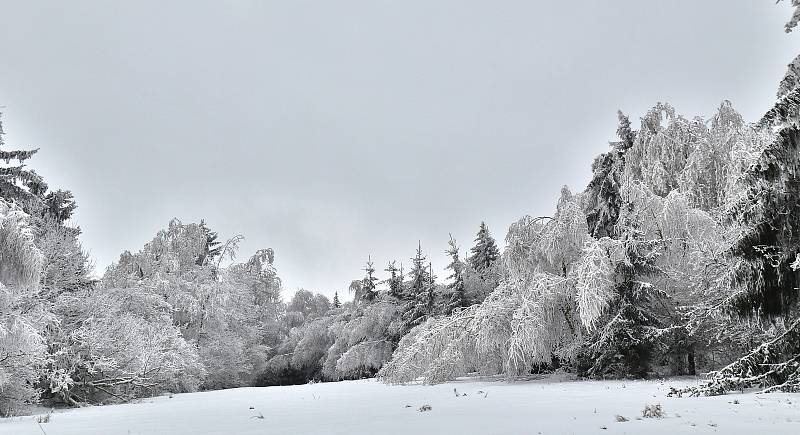 Vrch Šibeník se šibenicí a blízké okolí.