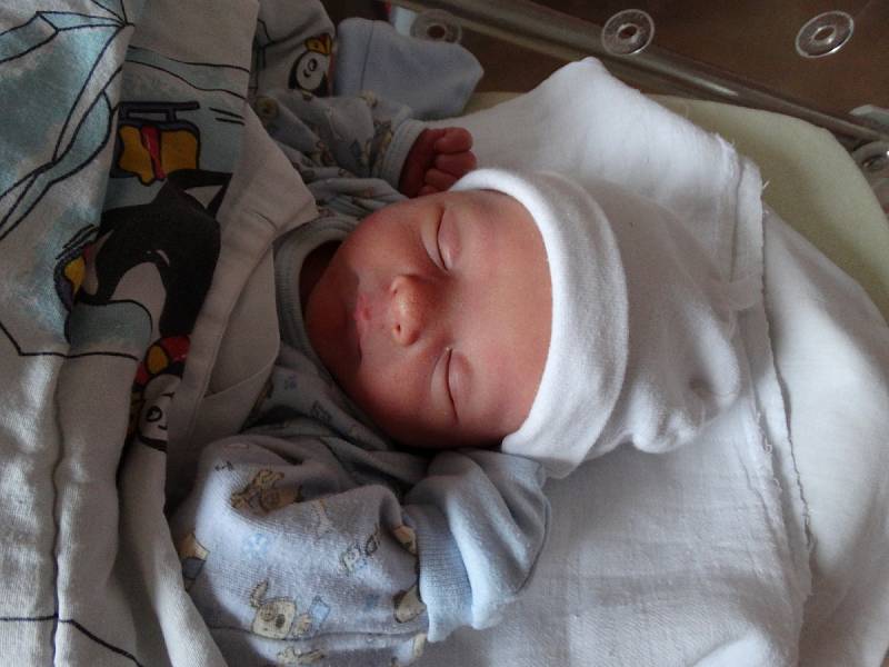 Pavel Vokroj se narodil 3. října v 8:05 mamince Kamile a tatínkovi Pavlovi z Přimdy. Po příchodu na svět v plzeňské fakultní nemocnici vážil bráška desetileté Adélky a dvouleté Elinky 2990 gramů a měřil 49 centimetrů.