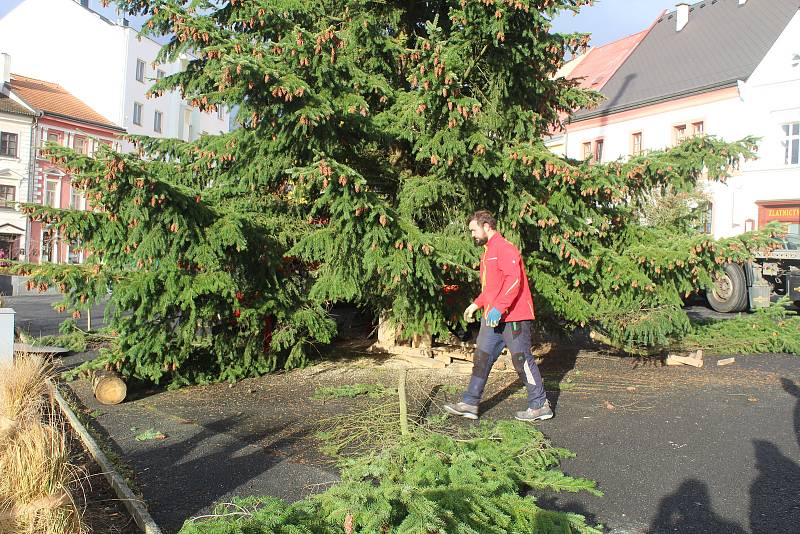 Usazení vánočního stromu na náměstí.