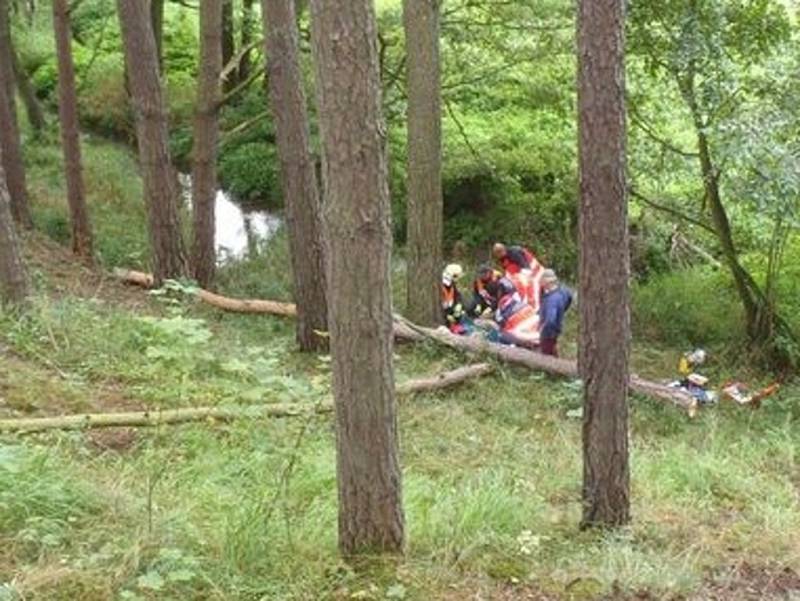 S těžkým zraněním byl leteckou záchrannou službou do nemocnice převezen muž, na kterého v lese mezi Oldřichovem a Trnovou spadl strom.