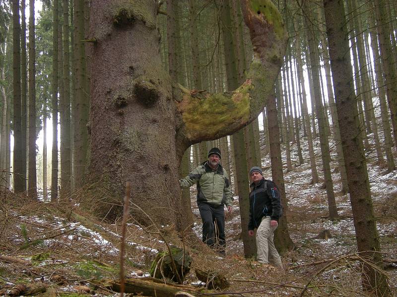 Ochránci přírody z Plané se chystají na letošní sezónu.