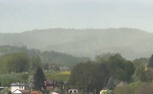Zelenožlutá oblaka pylu nad lesy u Tachova.