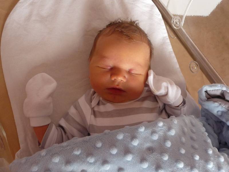 Osmiletá Elenka Bidlasová z Plané má radost z narození brášky Mikuláše (3,80 kg, 50 cm), který přišel na svět 13. března ve 4:19 ve FN v Plzni mamince Heleně a tatínkovi Miroslavu.