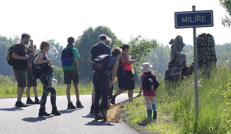 Z pozorování motýlů a dalších živožichů na loukách u Svaté Kateřiny.