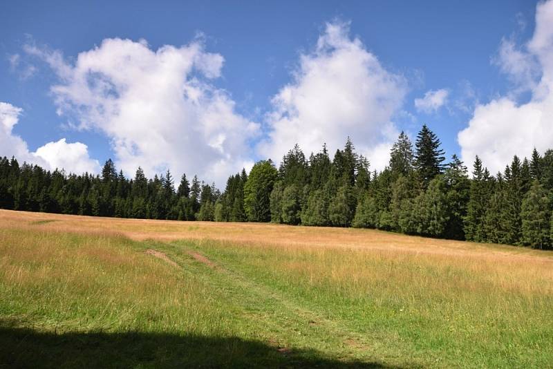 Lukášovy vodopády na Šumavě vytváří nádherné kaskády.