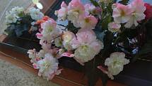 Květy begónií prozařují zákoutí zahrady  i parapety oken rodinného domku v Trnové.