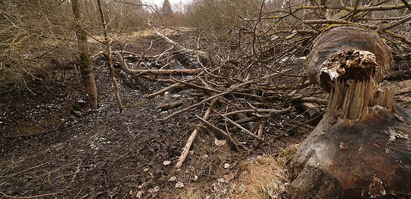 Předjaří v Českém lese: na vrcholcích sníh a turistické cíle bez lidí.