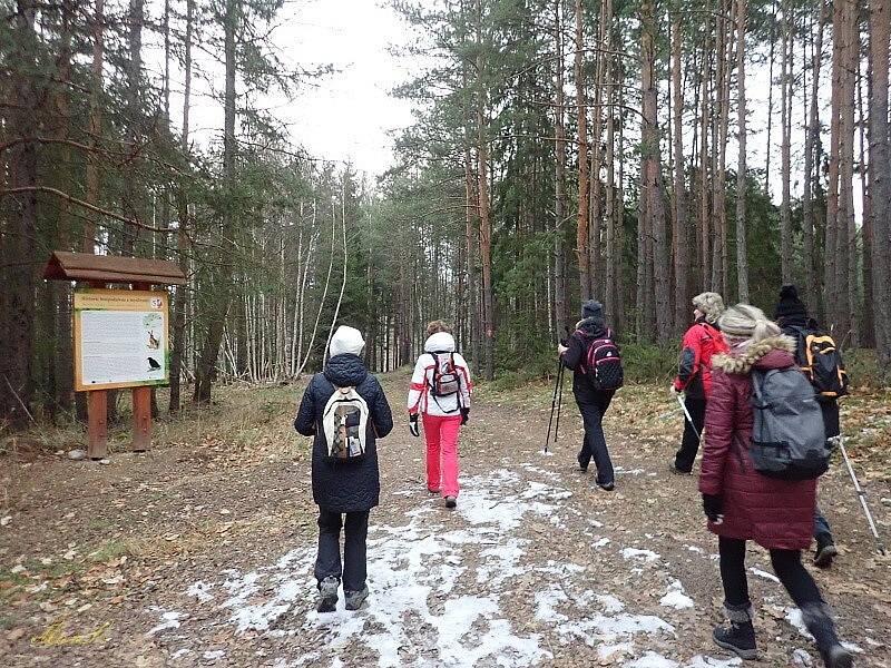 Turistky z Tachova se vydaly na naučnou stezku