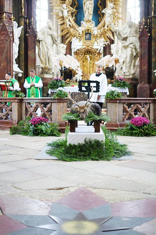 V prostorách klášterního kostela Nanebevzetí Panny Marie v Kladrubech se konala Svatohubertská mše.