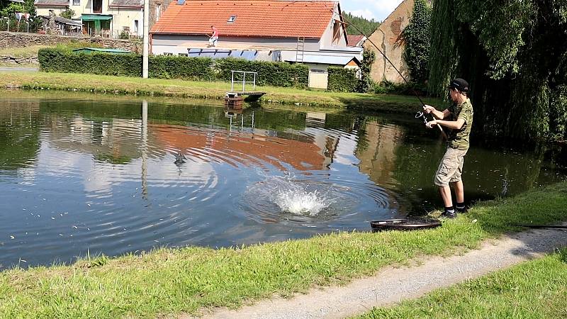 Třináctiletý Matěj objevuje rybí život i silné příběhy z minulého století.