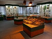 Muzeum Českého lesa v Tachově.