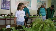 Mykologickou výstavu uspořádalo gymnázium v Tachově. Návštěvníci mohli vidět přes 180 druhů vystavených hub a také vzácného korálovce. Vzhledem ke změnám klimatu se pak mění také složení hub v lese, více v našich lesích houbaři nalézají houby, které dříve