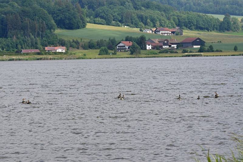 Pro ornitologa ráj, pro běžného turistu zážitek. To je Dračí jezero.