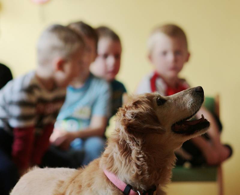 Děti přišli navštívit čtyřnozí přátelé