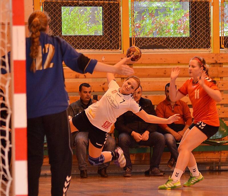 DHC SVŠ Plzeň – Sj. Tachov 23:14