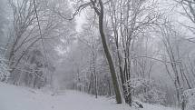 K zimě sníh patří... Ilustrační foto.