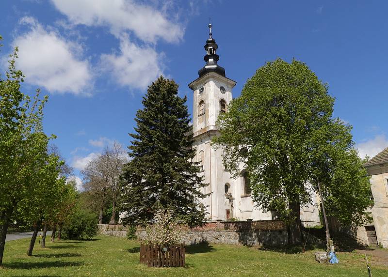 Mumie měšťanů v kryptě pod kostelem svatého Petra a Pavla v Mnichově.