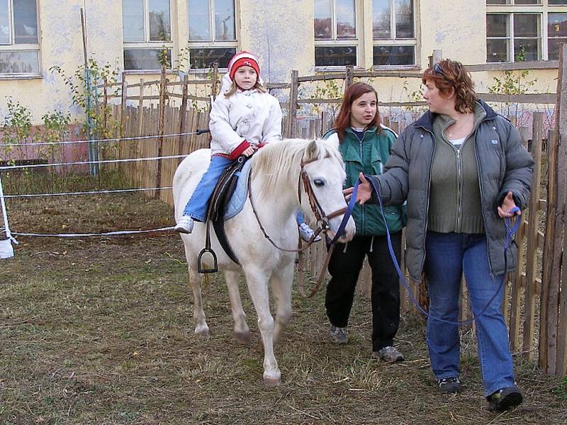 Ve stříbrských kasárnách se konala krajská výstava drobného zvířectva