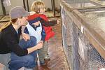 Ve stříbrských kasárnách se konala krajská výstava drobného zvířectva