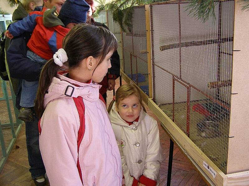 Ve stříbrských kasárnách se konala krajská výstava drobného zvířectva