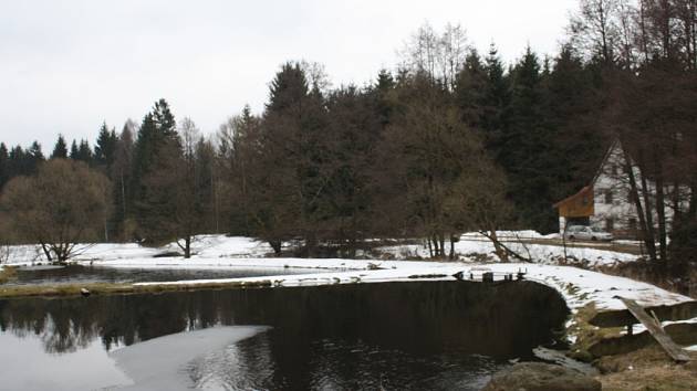 LOKALITA Treppenstein, kde vlastní lesní pozemky i ornou půdu město Planá, působí romanticky.