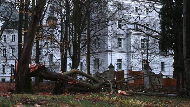 Veliké škody napáchaly poryvy silného větru v zámeckém parku v Chodové Plané.