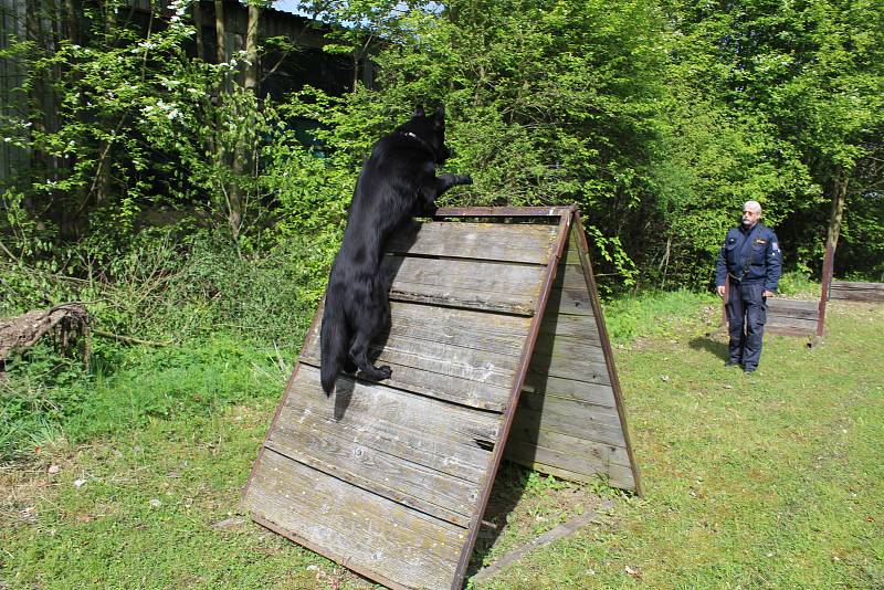 Policejní psovod Petr Zifčák s Hektorem.