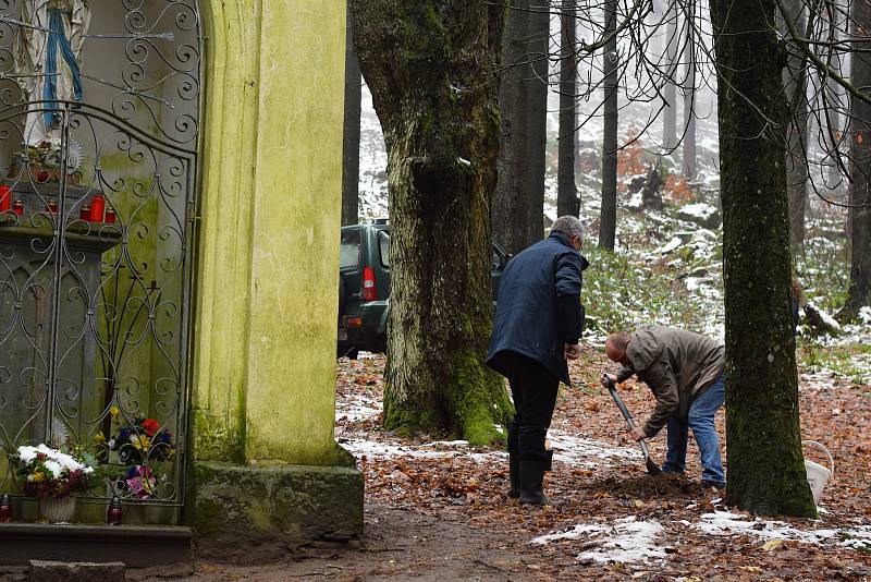 Zástupci města Přimdy a Pfreimdu se v sobotu sešli, aby zasázeli sazenice tisu červeného.